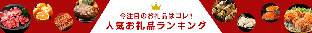 人気お礼品ランキング