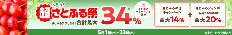 2024年5月 超さとふる祭