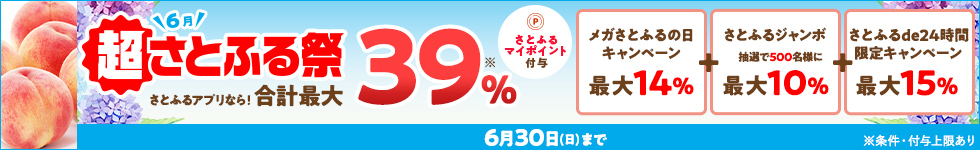 2024年6月 超さとふる祭