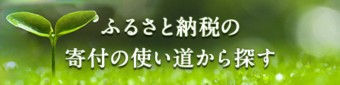 ふるさと納税の使い道から探す