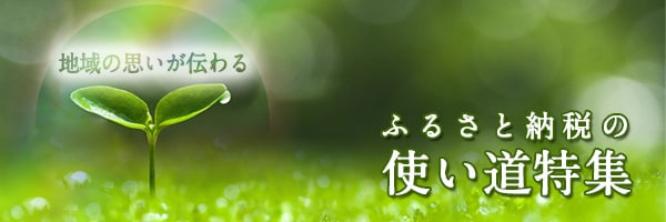 リンクボタン：～地域の想いが伝わる～　≪ふるさと納税の使い道特集≫