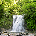 広野町（福島県）のふるさと納税のお礼品