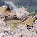 美咲町（岡山県）のふるさと納税のお礼品