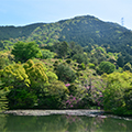 須恵町（福岡県）のふるさと納税のお礼品